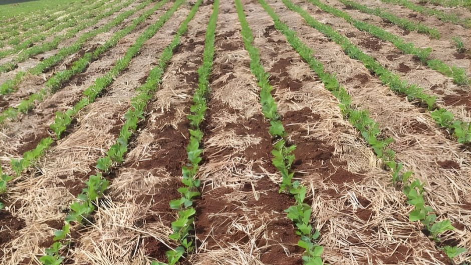 Foto: Oriberto Adami