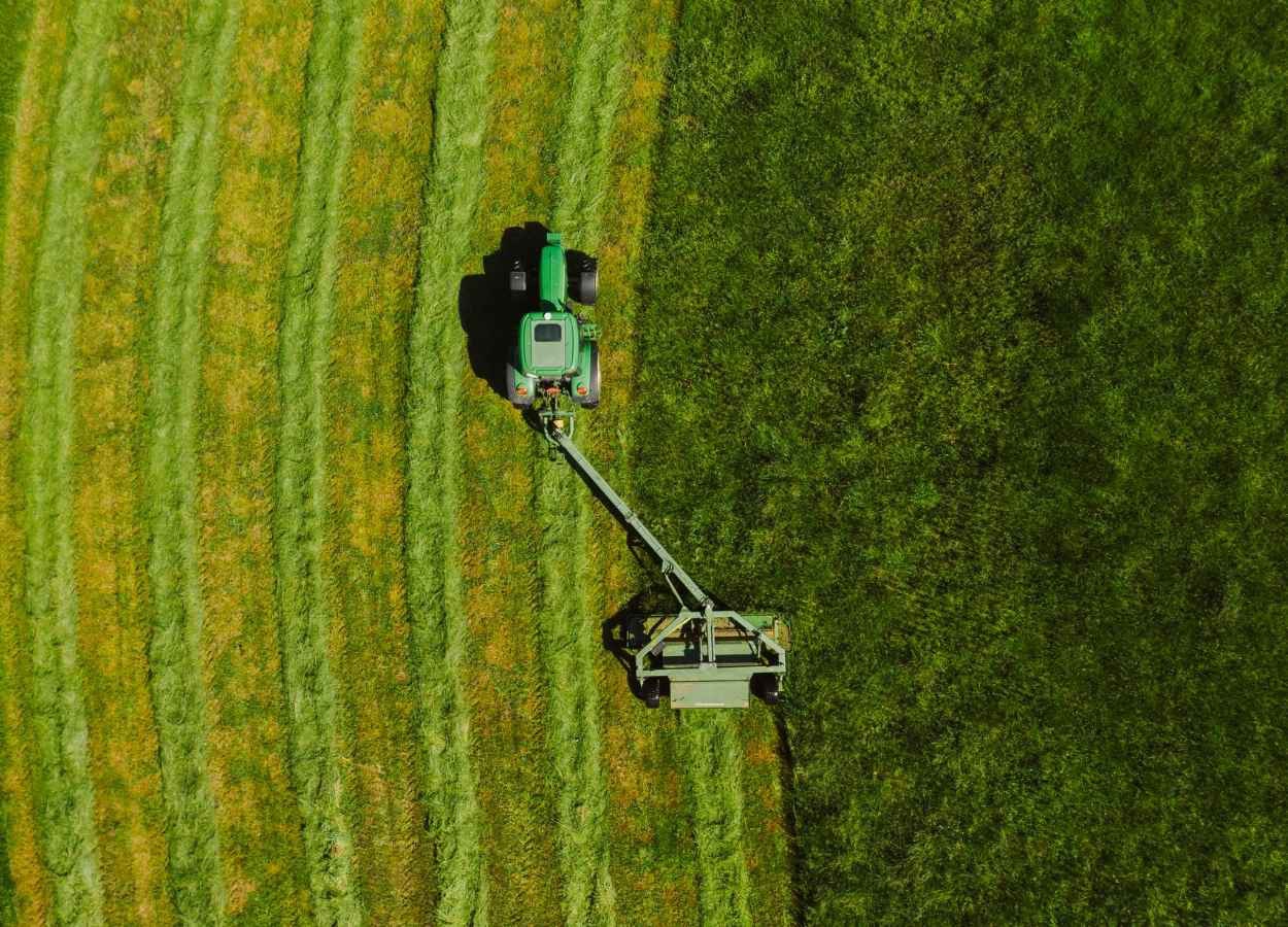 VBP da Agropecuária deve crescer 11,4% em 2025