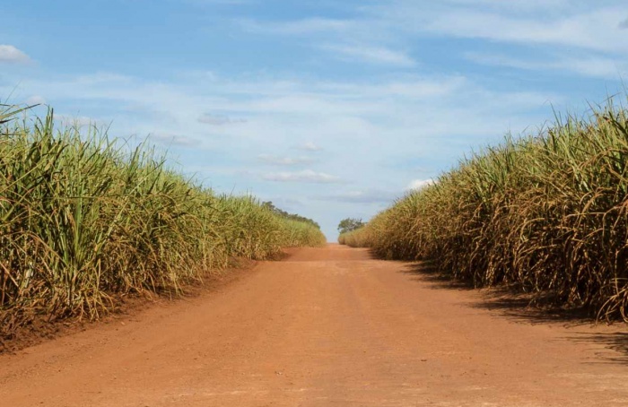 Seguro agrícola paramétrico será tema de debate em São Paulo