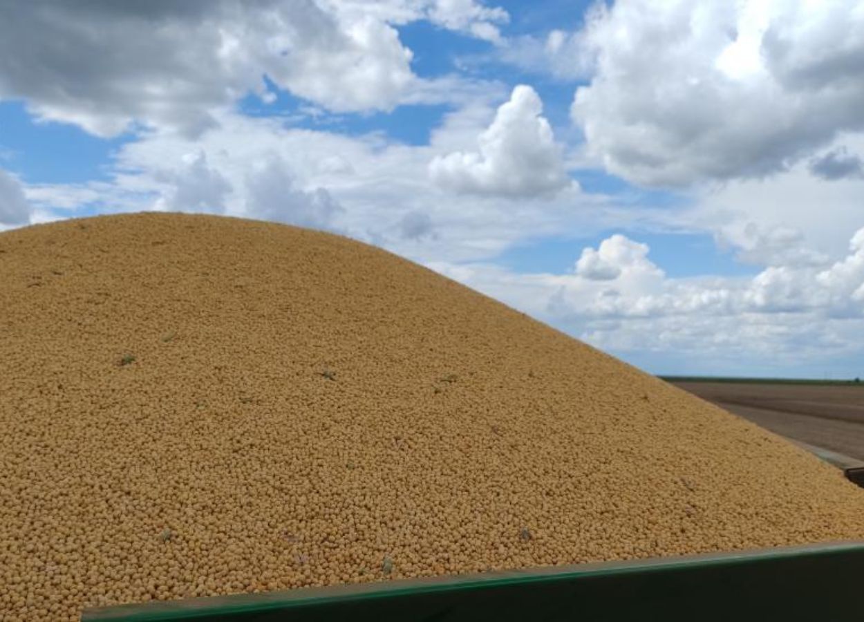 Soja assume liderança de vendas externas em MS