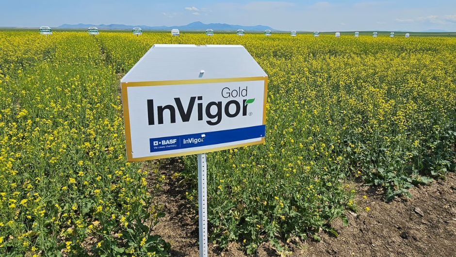 Foto:&nbsp;RealAgriculture