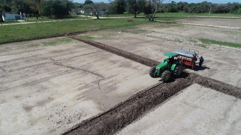 Inovação marca o plantio da área da Abertura da Colheita do Arroz