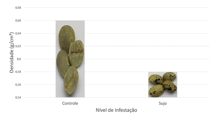 Figura 1 - Média dos valores de densidade dos grãos de café com diferentes níveis de infestação da broca-do-café
