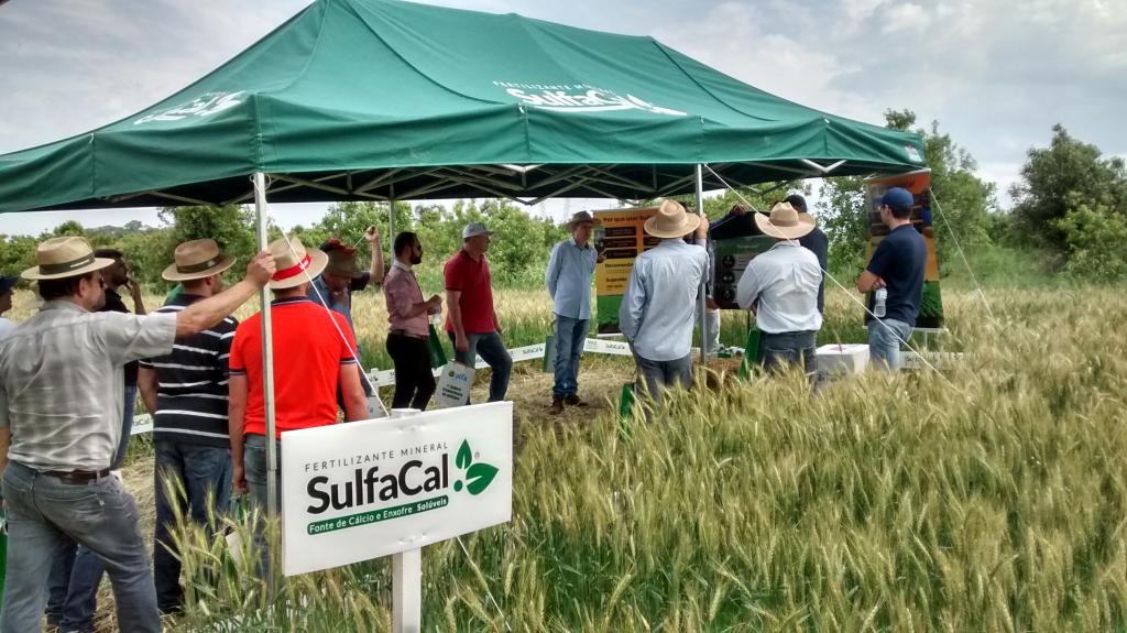 Alternativas para nutrição do solo são apresentadas em Dia de Campo em Erechim, RS