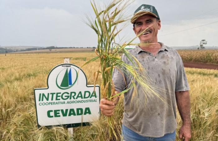 Cultivo de cevada avança para novas regiões do Paraná