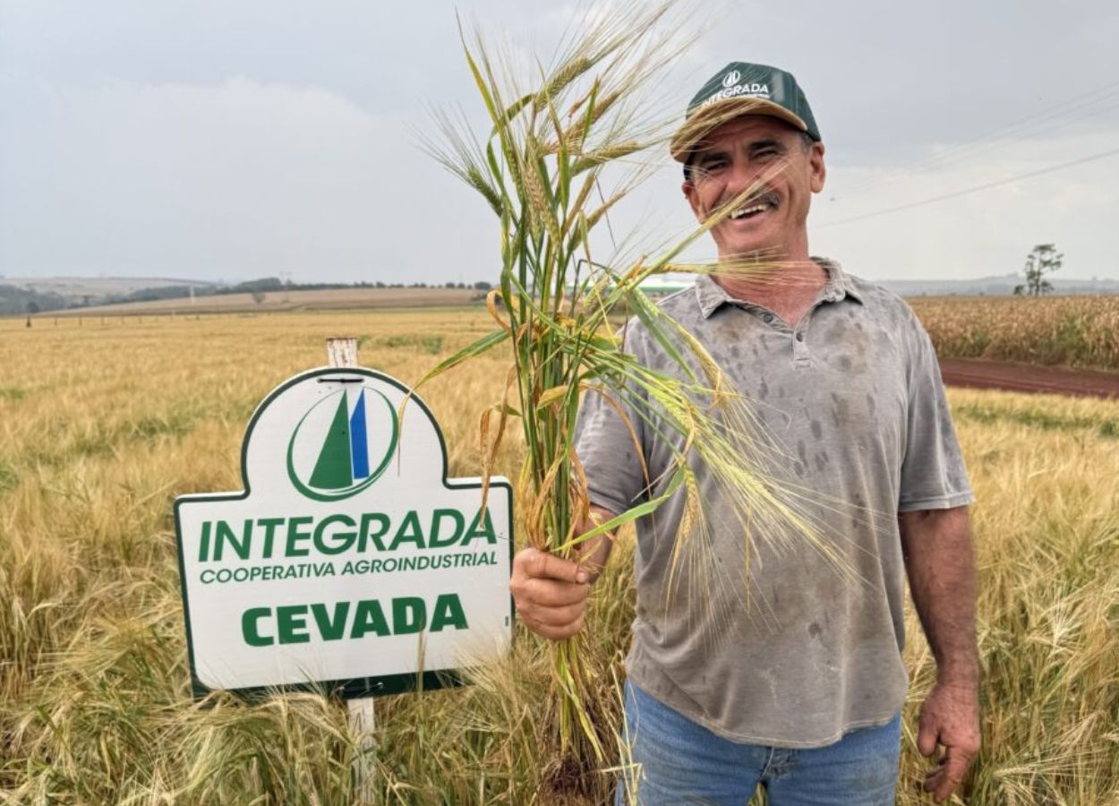 Cultivo de cevada avança para novas regiões do Paraná