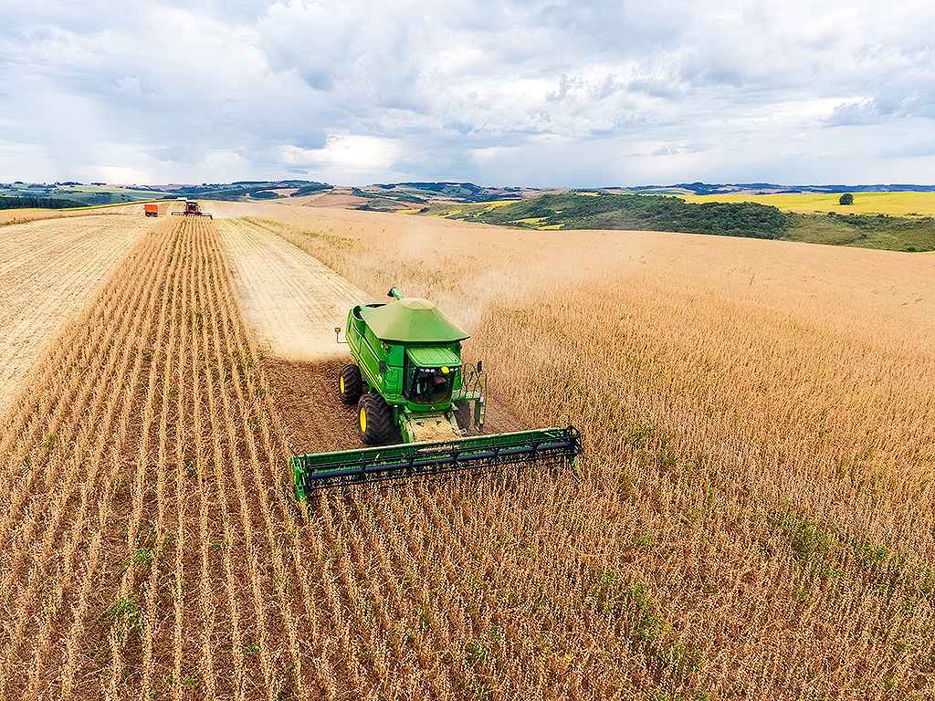 Santa Catarina: milho recua, mas produção de soja cresce no Estado