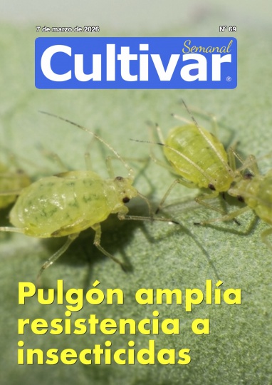 Cultivar Semanal 69