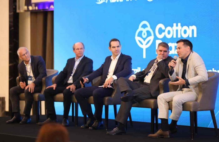 Brasil amplia participação no comércio mundial de algodão