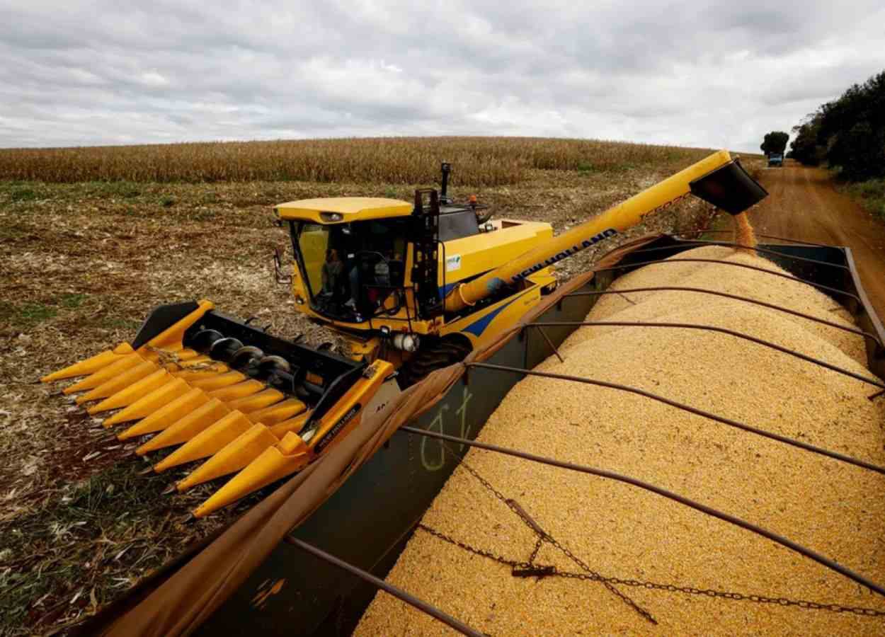 PR Safra 2025/26: milho avança com atraso na colheita