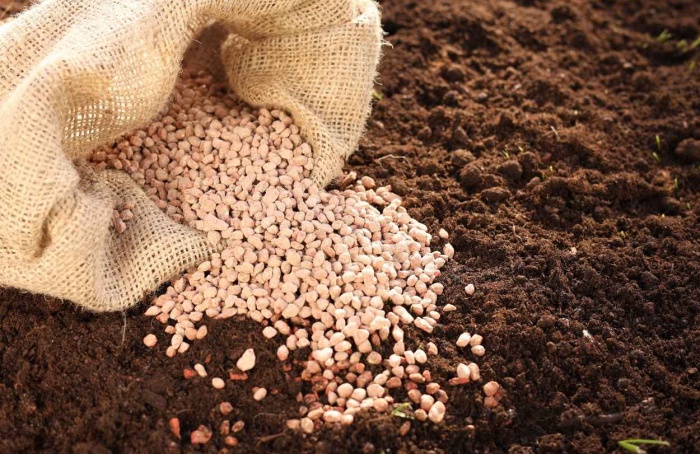 Mercado de fertilizantes especiais registra expansão em 2024