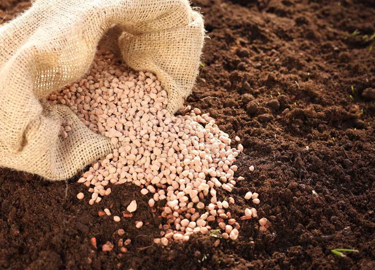 Mercado de fertilizantes especiais registra expansão em 2024