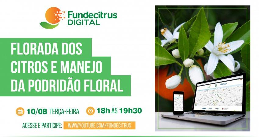 Fundecitrus promove webinar sobre florada dos citros e manejo da podridão floral