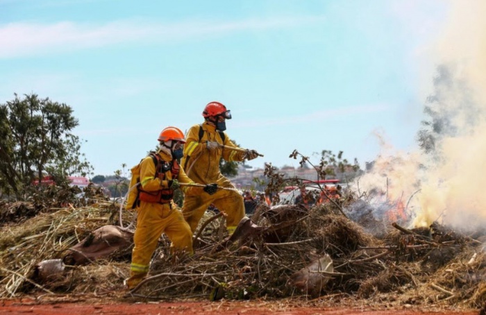 Onda de calor em SP exige atenção redobrada dos agricultores