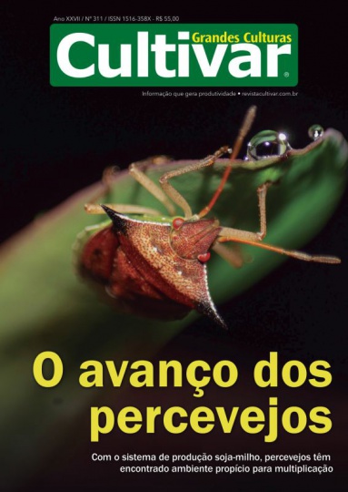 Cultivar Grandes Culturas 311