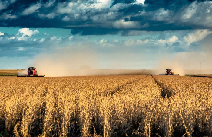 Agronegócio amplia participação nas exportações do Brasil