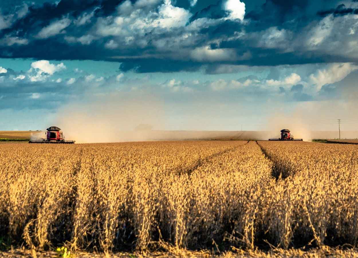 Agronegócio amplia participação nas exportações do Brasil