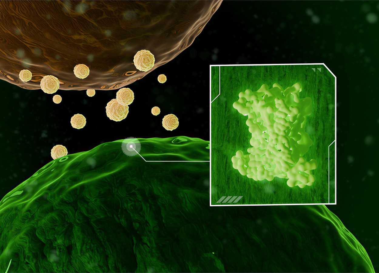 Imagem:&nbsp;Philip Gray - USDE