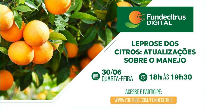 Fundecitrus promove videoconferência sobre manejo da leprose dos citros