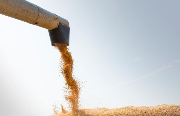 Mercado de milho inicia o ciclo 2025/26 sob pressão baixista