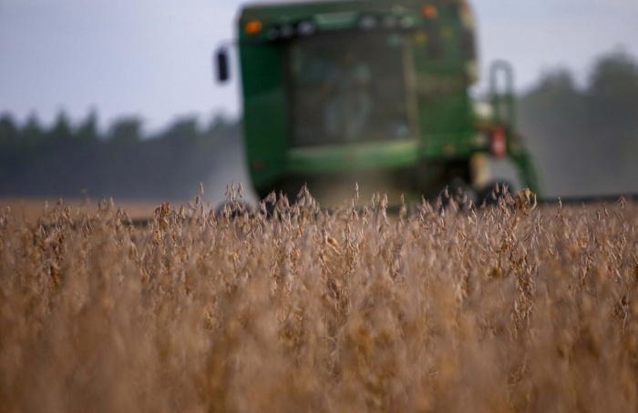 PR Safra 2025/26: soja sofre com chuvas e replantio no estado