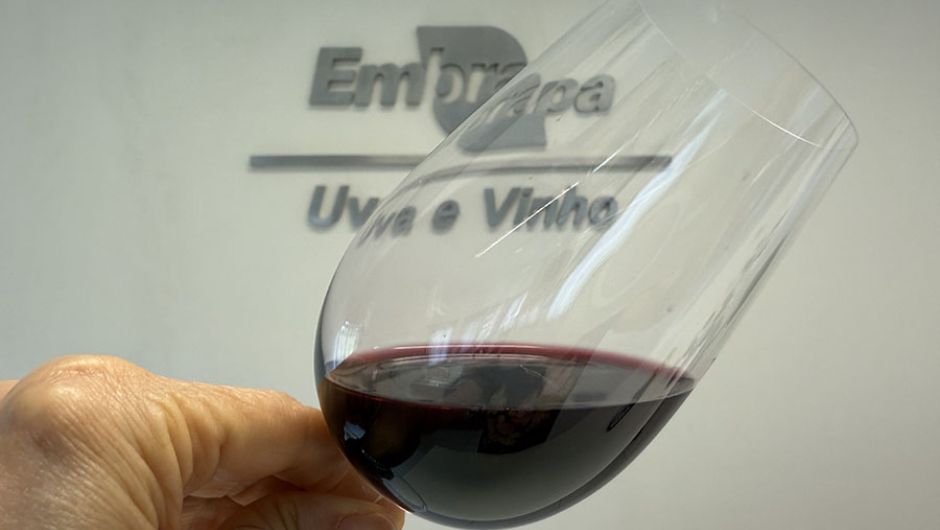 Foto: Patrícia Ritschel