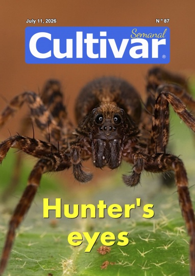 Cultiver chaque semaine 87