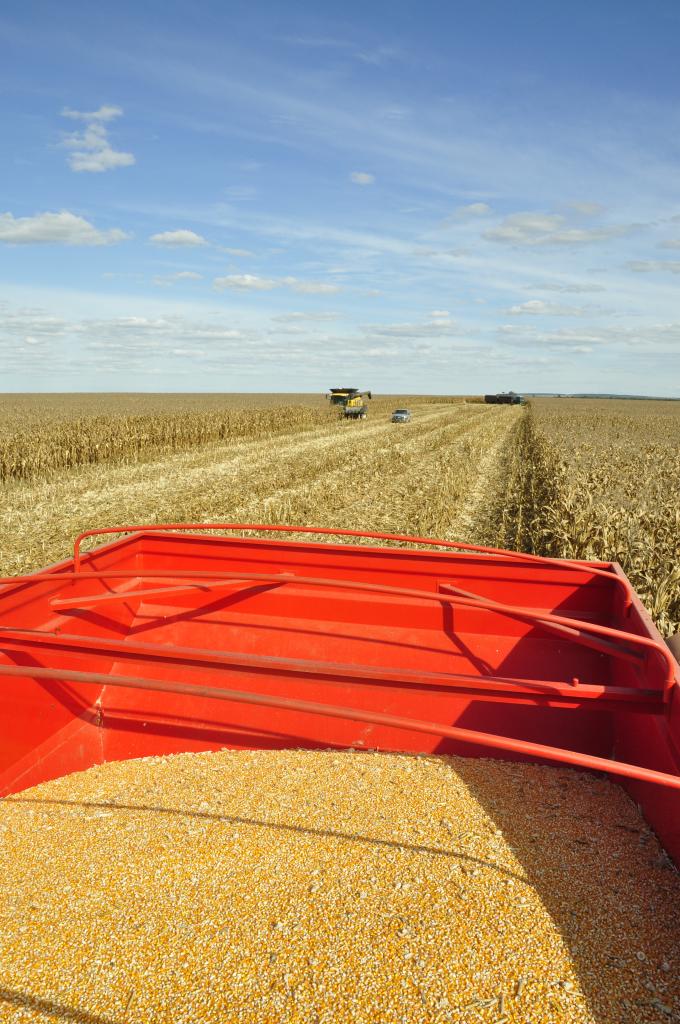 Brasil eleva Valor Bruto da Produção Agropecuária para R$ 542 bilhões