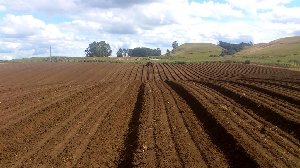 ​Matéria orgânica beneficia fertilidade do solo melhorando a produtividade