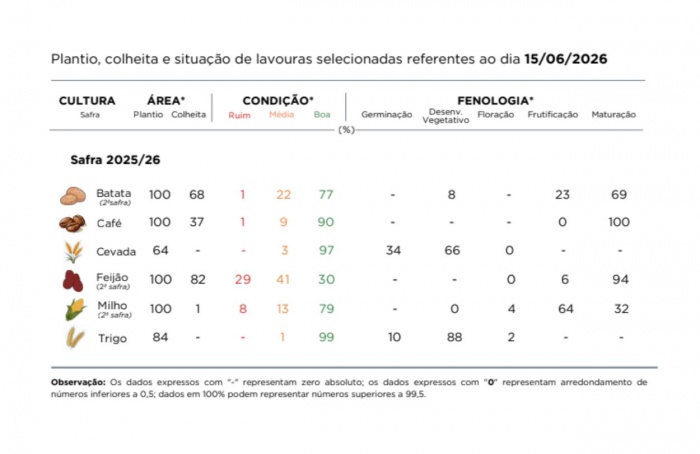 PR Safra 2025/26: chuvas favorecem lavouras de inverno