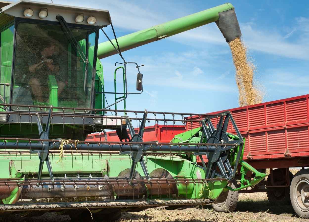 A projeção é de recordes históricos para o próximo ano, com produção e exportações em alta