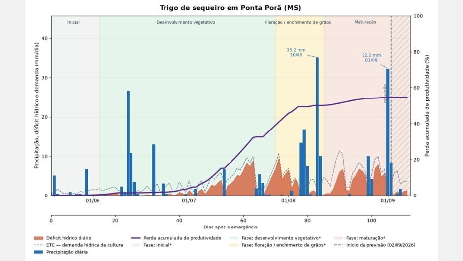 Monitoramento da cultura de trigo de sequeiro em Ponta Porã (MS), para o período de 19 de maio a 7 de setembro de 2026; fonte: Inmet/Sisdagro