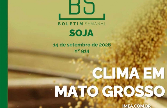MT Safra 2026/27: safra inicia com atenção ao clima e aos preços