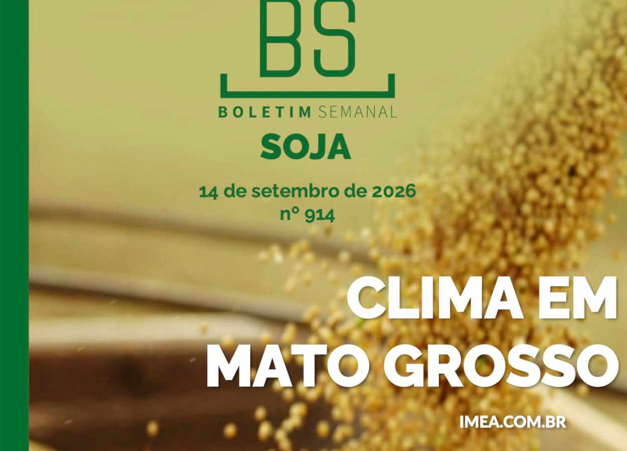 MT Safra 2026/27: safra inicia com atenção ao clima e aos preços