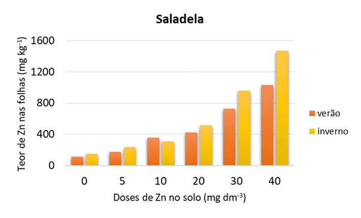 Figura 4 - Teores de Zn nas folhas de alface Saladela em função de doses de Zn aplicadas no solo e épocas de cultivo (verão e inverno)