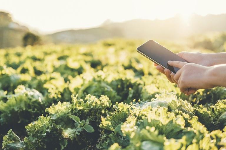 Inmet lança aplicativo com informações meteorológicas para o setor agrícola