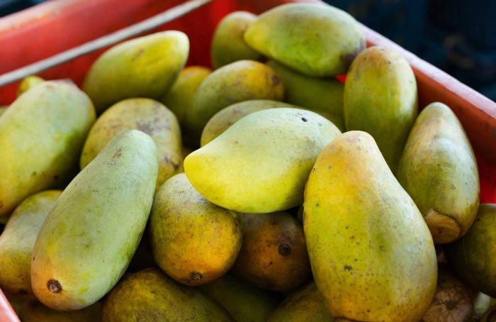Exportações de frutas crescem 8% em receita no Brasil