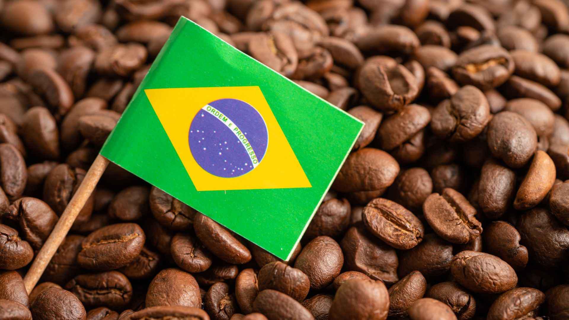 Exportação de café do Brasil soma 3,3 milhões de sacas em setembro