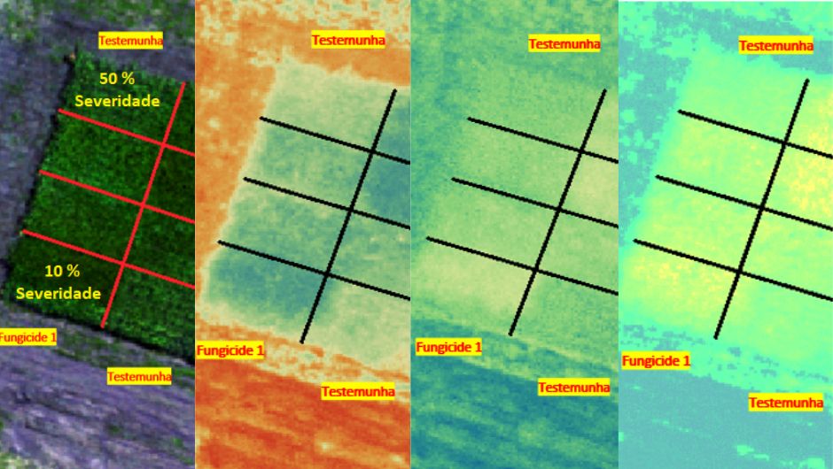 Análise multiespectral de área com ferrugem asiática da soja vista sob a ótica multiespectral