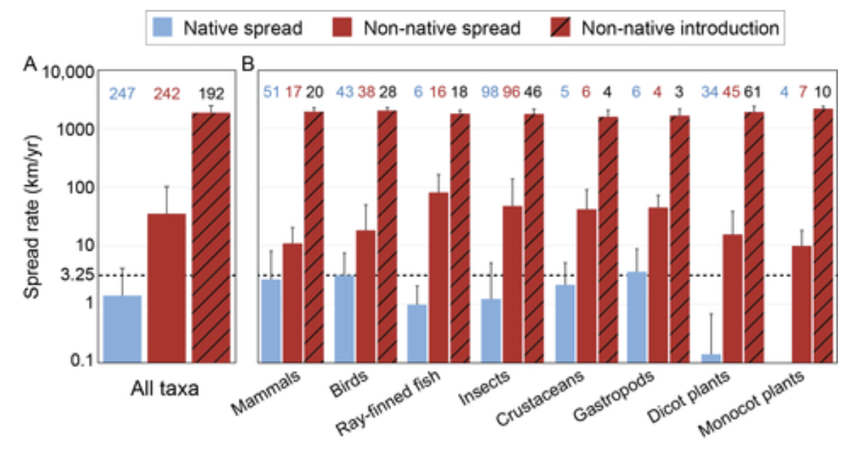As espécies não nativas (vermelho) estão se espalhando muito mais rapidamente do que as espécies nativas (azul); a linha pontilhada indica a rapidez com que as espécies precisam mover-se para acompanhar as alterações climáticas - 10.1146/annurev-ecolsys-102722-013135