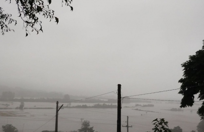 Federarroz monitors the rainfall situation in rice fields in Rio Grande do Sul