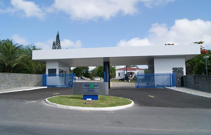 Sessão especial celebra os 42 anos de implantação da Embrapa Algodão em Campina Grande (PB)