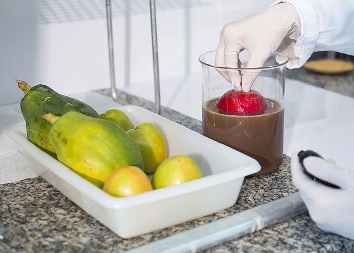 Cera de carnaúba com nanotecnologia aumenta tempo de prateleira de frutos