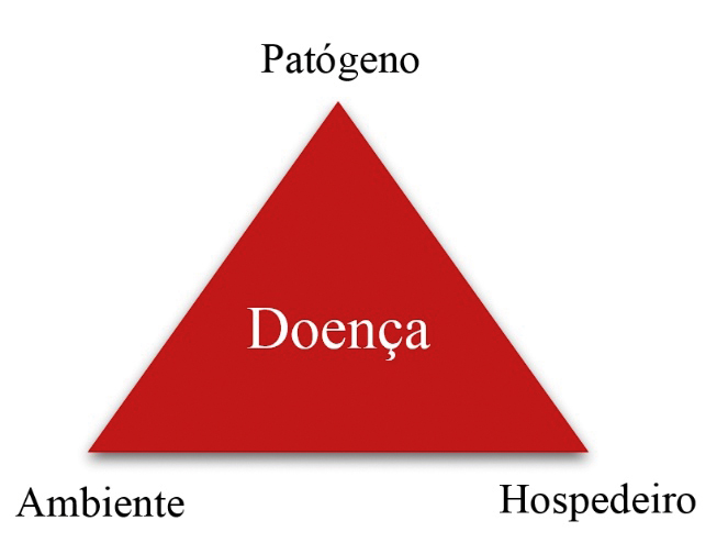 Figura 1 - Triângulo da doença, formado pela interação entre hospedeiro, patógeno e o ambiente.
