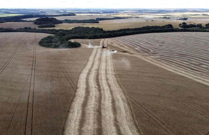 Municípios da área da Cocari, no Paraná, atingem VBP acima de R$ 1 bilhão