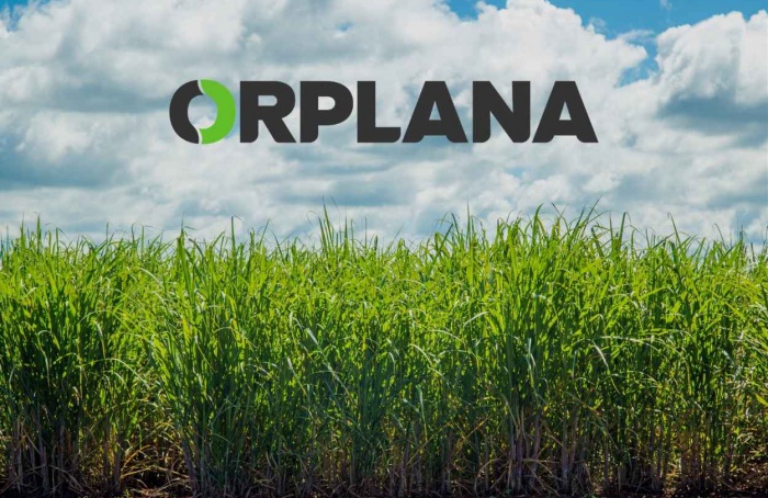 Orplana critica “decisões paralelas” ao Consecana-SP