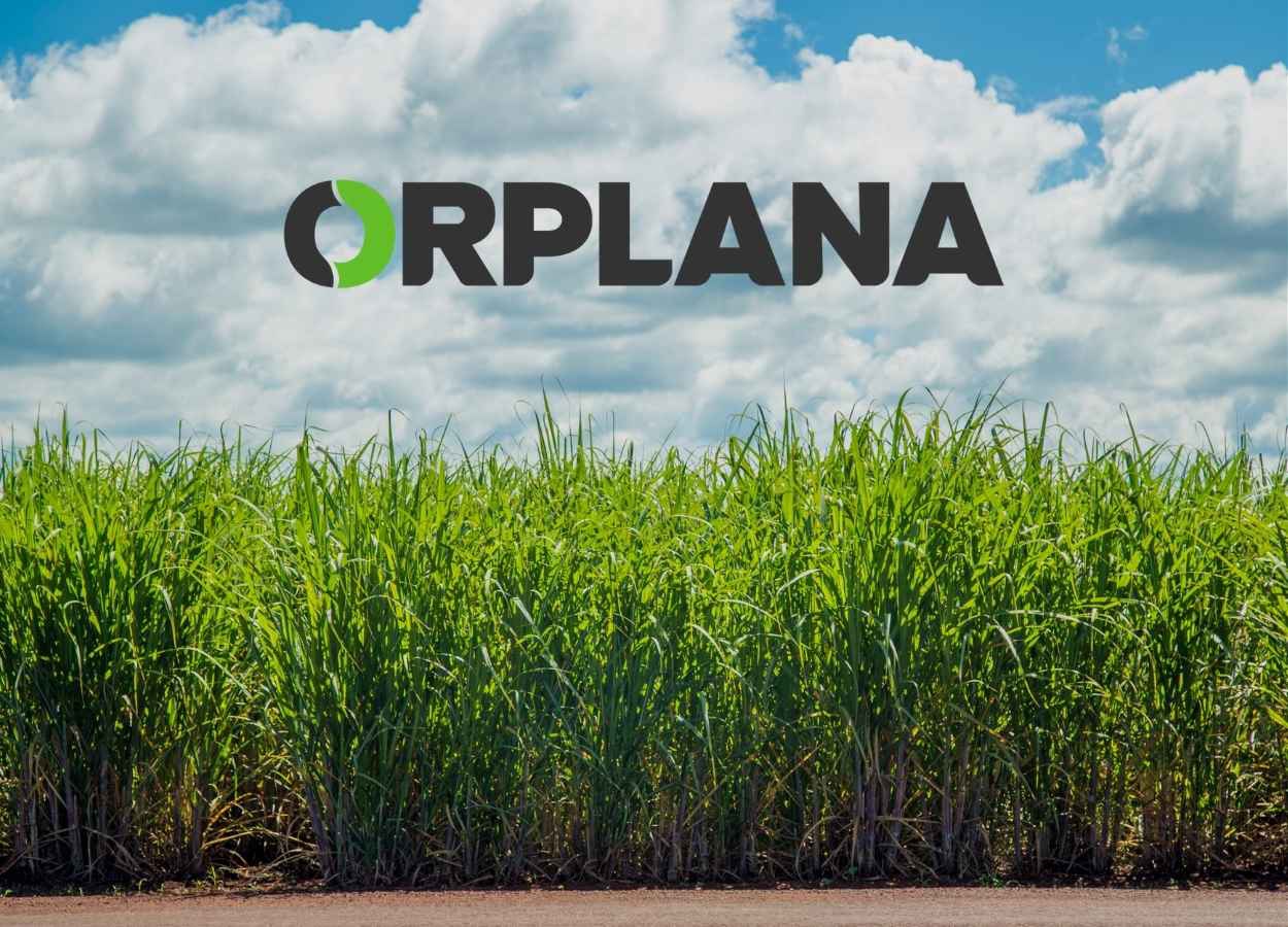 Orplana critica “decisões paralelas” ao Consecana-SP