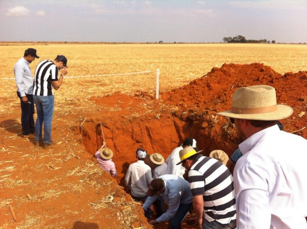 ​  Sustentabilidade e produtividade são as propostas do Curso de Especialização em Manejo do Solo promovido pela ESALQ/USP