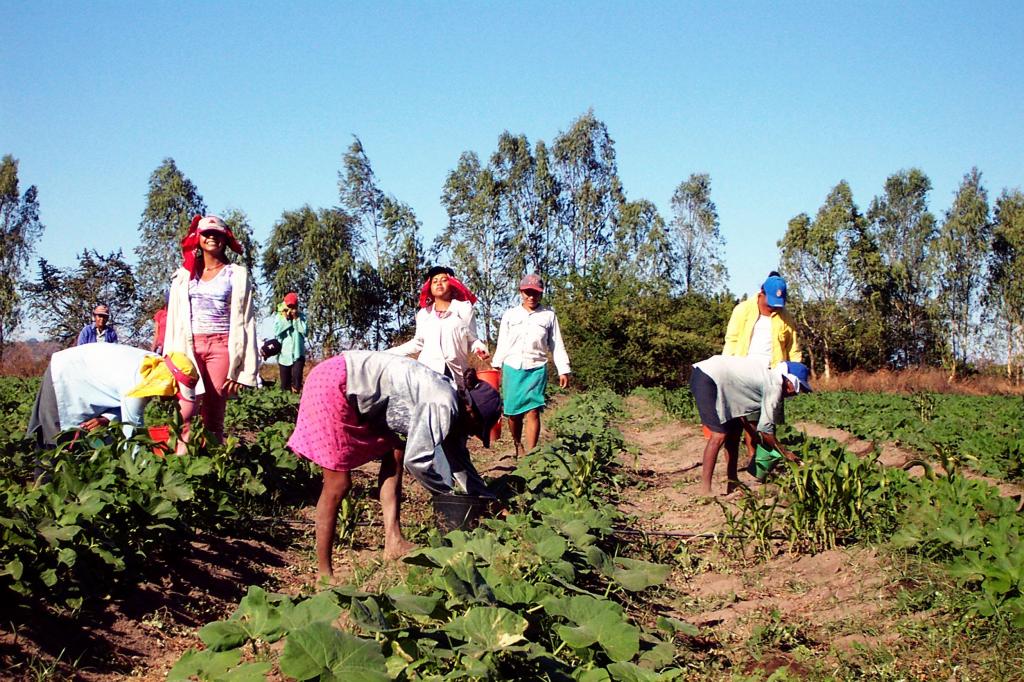 IICA ratifica o compromisso com a redução de desigualdades enfrentadas pelas mulheres rurais