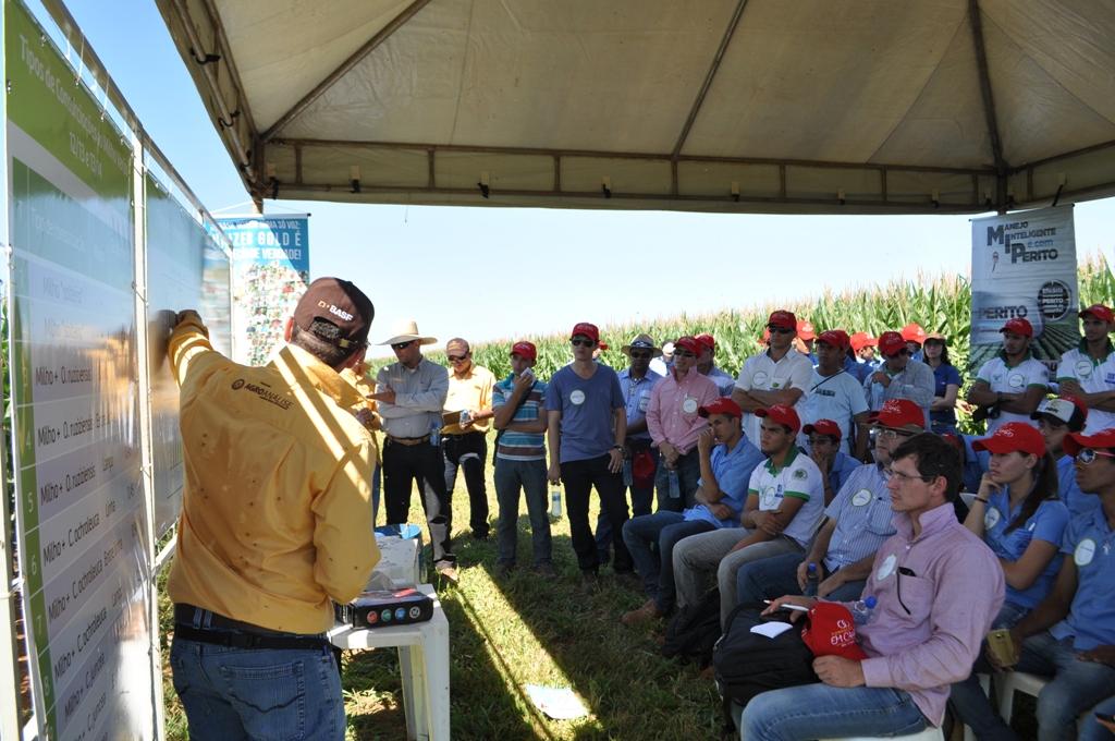 Fundação MT em Campo – 2ª Safra acontece em Sapezal (MT)